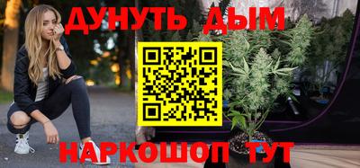 гидра Шебекино