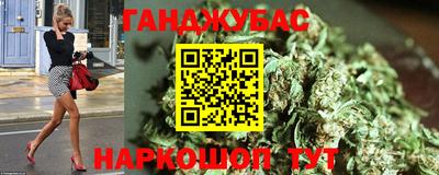 гидра Шебекино