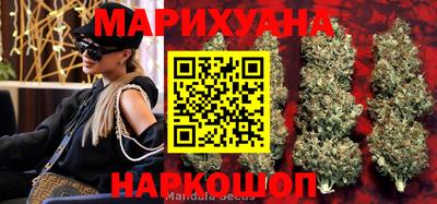 винт Шахты